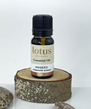 Aniseed - 26% OFF SPECIAL