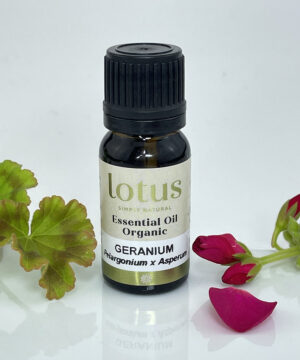 Geranium Organic