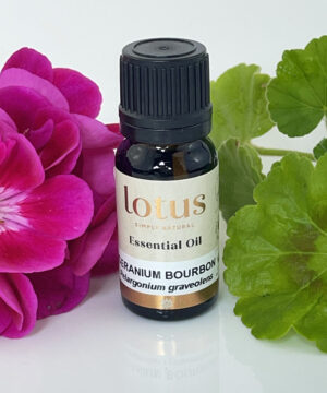 Geranium Bourbon