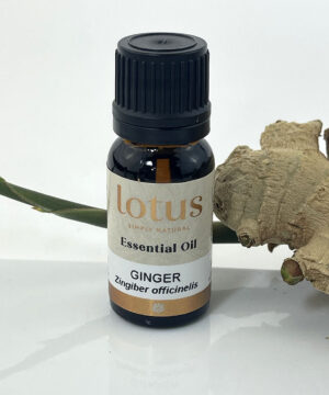 Ginger (Steam distilled)