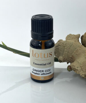 Ginger Co2