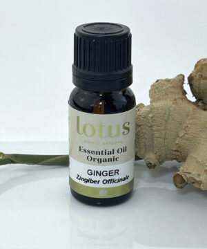 Ginger Organic Oil
