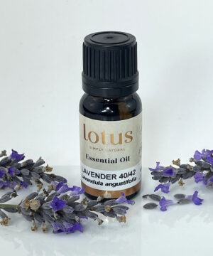 Lavender 40/42