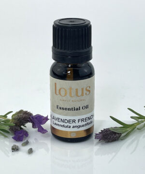 Lavender French Maillette Oil
