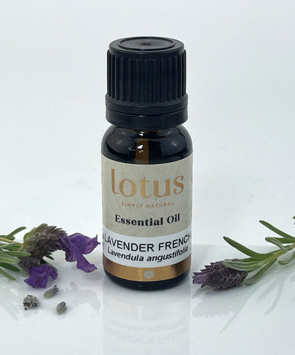 Lavender French Maillette Oil