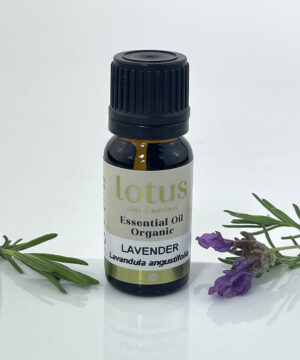 Lavender Organic