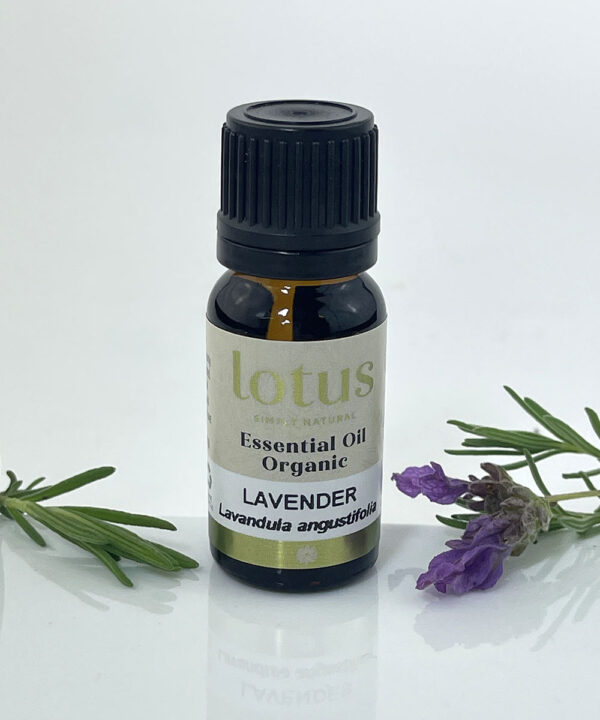 Lavender Organic