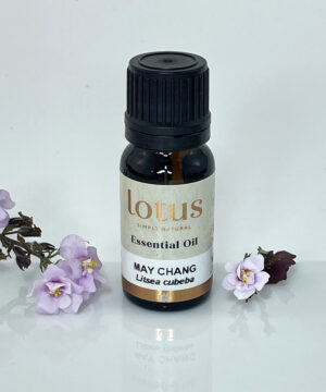 May Chang ( Litsea Cubeba )