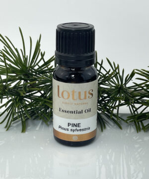 Pine