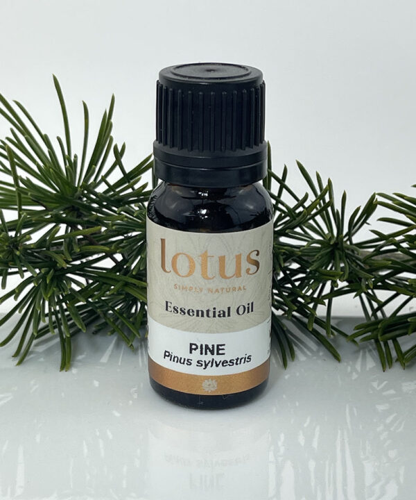 Pine