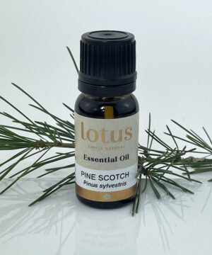 Pine Scotch