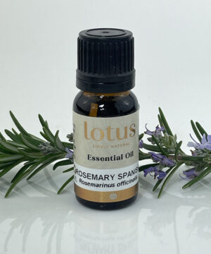 Rosemary Spanish