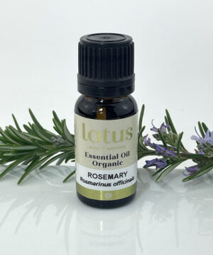 Rosemary Organic