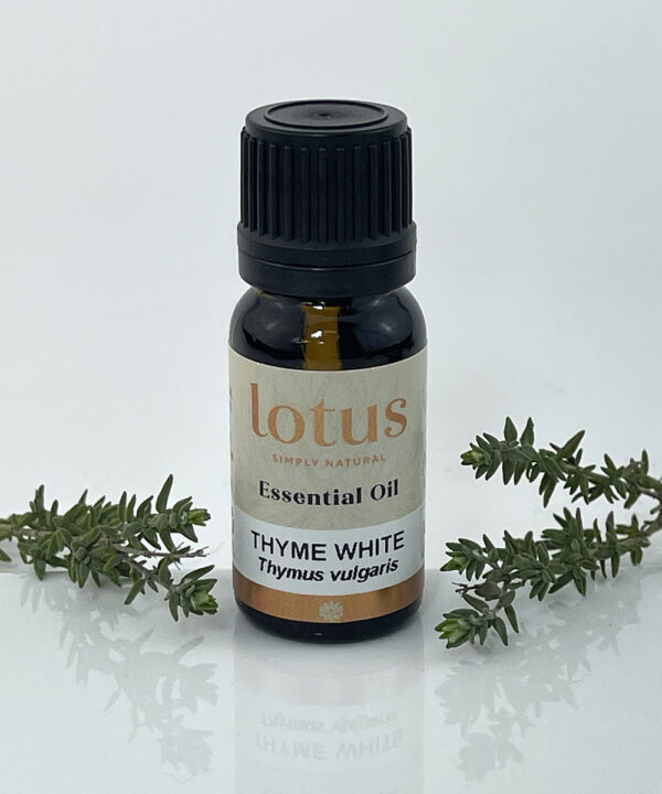 Thyme White