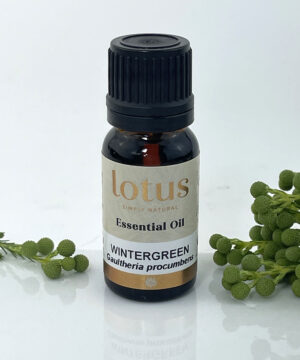 Wintergreen