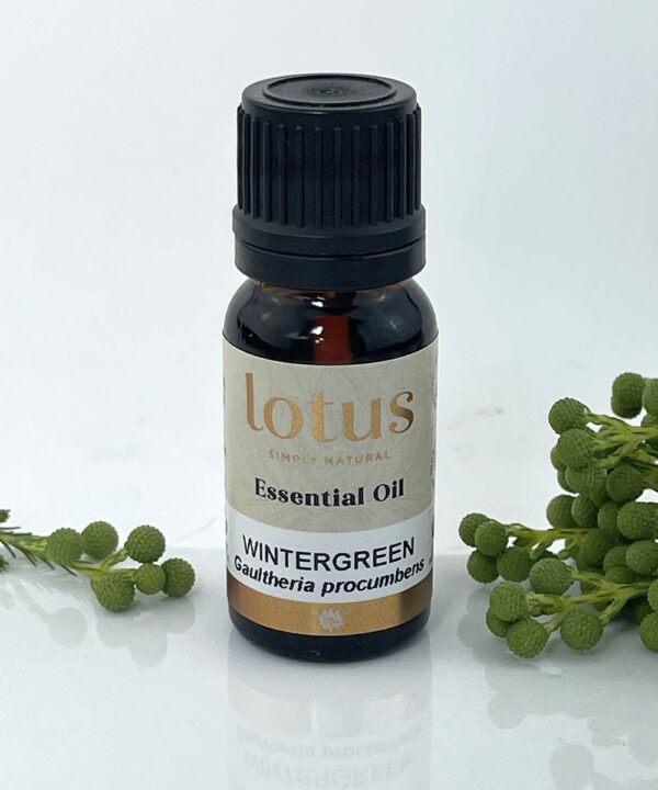 Wintergreen