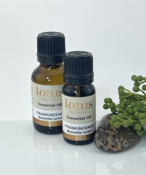 Frankincense (Boswellia Carterii) - steam extracted