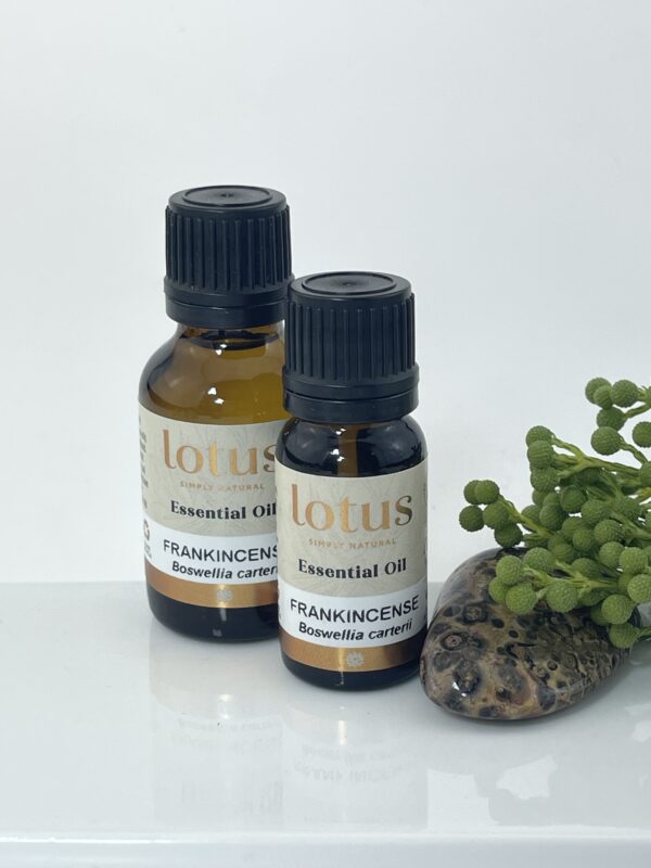 Frankincense (Boswellia Carterii) - steam extracted
